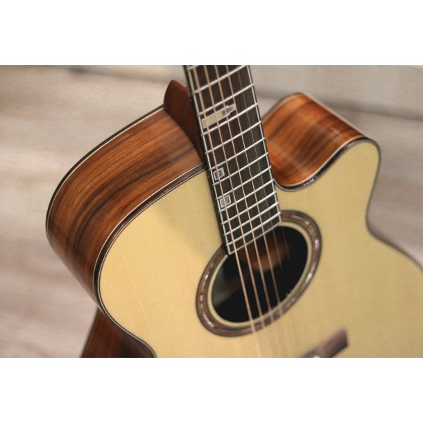 Fonzo V-201S OM Cutaway